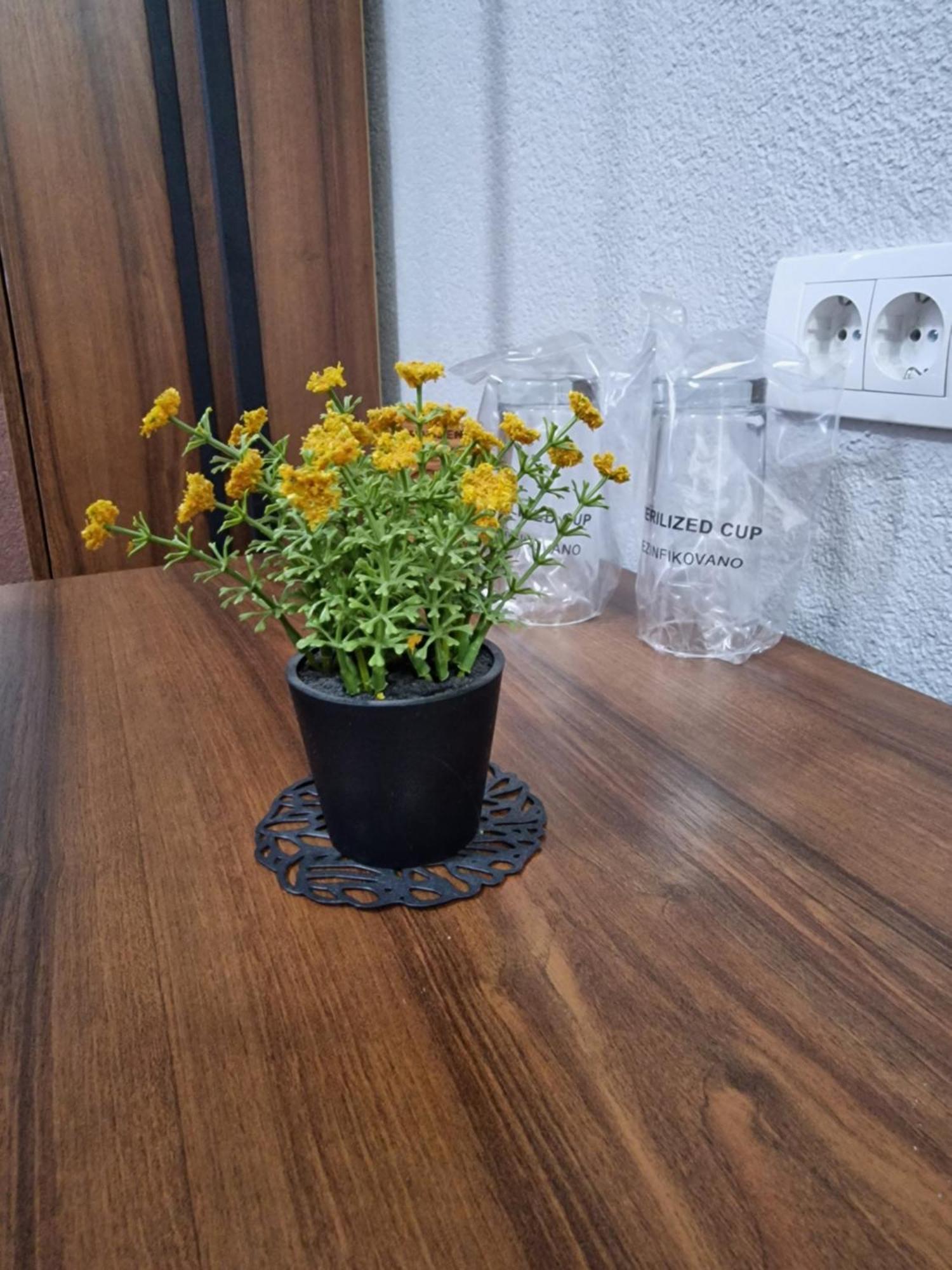 Hotel Djerdan Kraljevo Ngoại thất bức ảnh